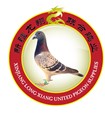 (longxiangpigeon)